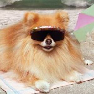 Meet your Posher, Keith